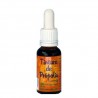 Própolis Tintura Propol Mel 20 ml.