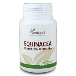 Equinacea (Echinacea Purpurea) Plantapol 100 comprimidos