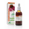 Composor 8 Echina Complex XXI Soria Natural 50 ml.