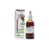 Composor 17 Diabesil Complex XXI Soria Natural 50 ml.