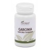 Garcinia Cambogia Plantapol 700 mg. 60 comprimidos
