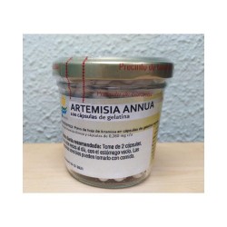 Artemisia Annua 100 cápsulas