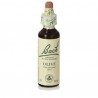 Olive - Olivo (Olea Europaea) Flor de Bach 20 ml.