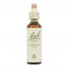 Clematis - Clemátide Flor de Bach 20 ml.
