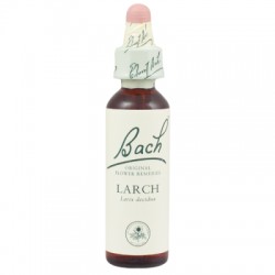 Larch - Alerce  Flor de Bach 20 ml.