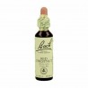 Red Chestnut - Castaño Rojo Flor de Bach 20 ml.