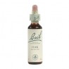 Oak - Roble Flor de Bach 20 ml.