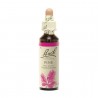 Pine - Pino Flor de Bach 20 ml.