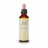 Gentian - Genciana Gentiana amarella Flor de Bach 20 ml.