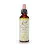 Chestnut bud - Brote de castaño - Flor de Bach 20 ml.