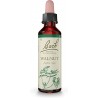 Walnut - Nogal Flor de Bach 20 ml.