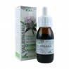 Valeriana officinalis L. Soria Natural Extracto 50 ml.