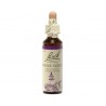 Water Violet - Violeta de agua - Flor de Bach 20 ml.