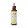 Wild Rose - Rosa Silvestre Rosa Canina Flor de Bach 20 ml.