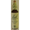 Mustard - Mostaza Flor de Bach 20 ml.
